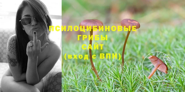 мдпв Зеленокумск